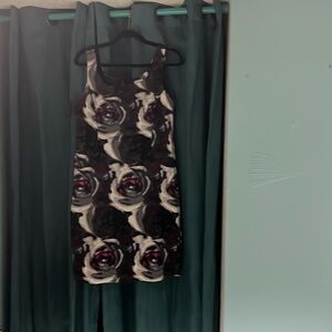 Suzy sheer vintage dress